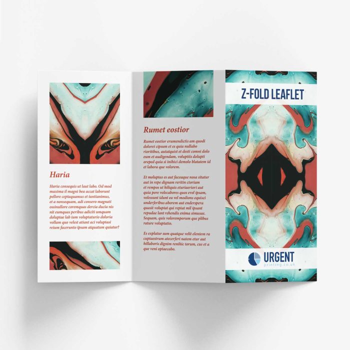 C-Fold / Z-Fold Flyer - Image 2